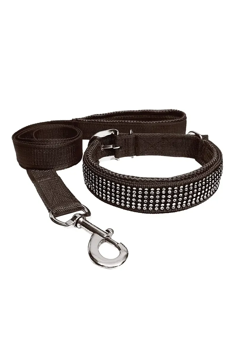 Nylon Mesh Dog Collar & Leash