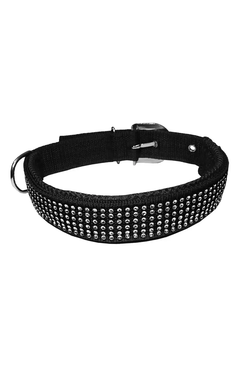 Nylon Mesh Dog Collar & Leash