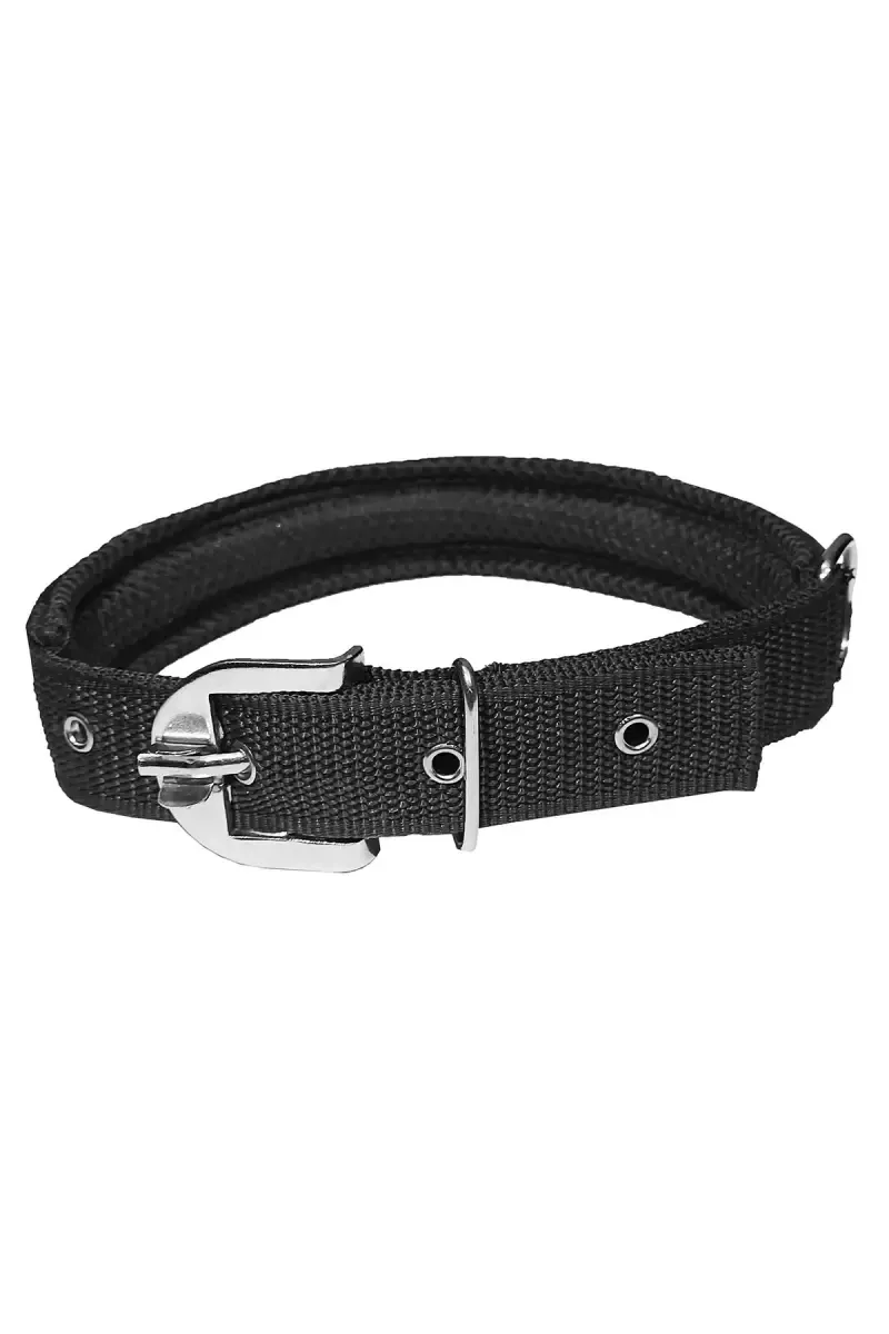 Nylon Mesh Dog Collar & Leash
