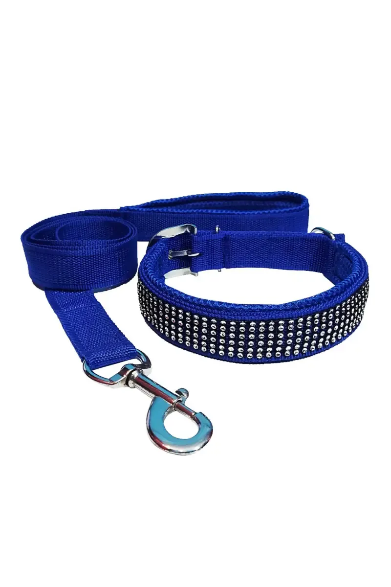 Nylon Mesh Dog Collar & Leash