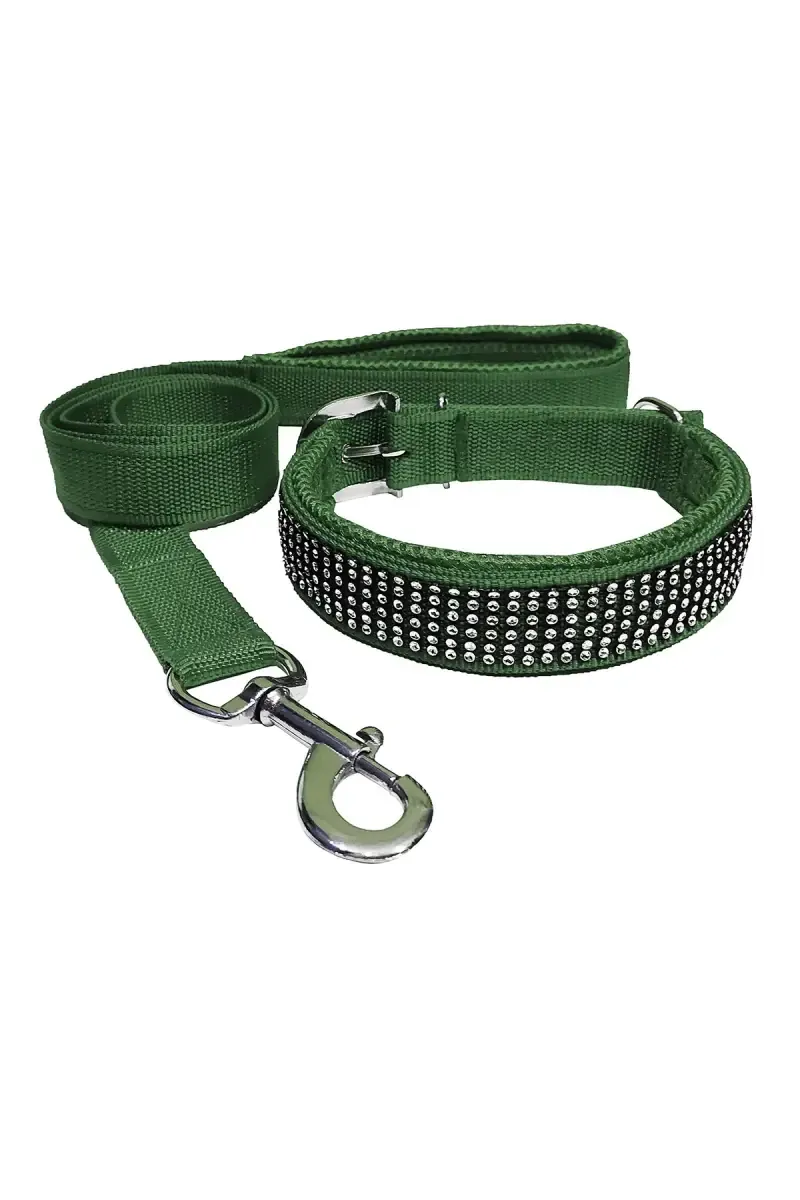 Nylon Mesh Dog Collar & Leash