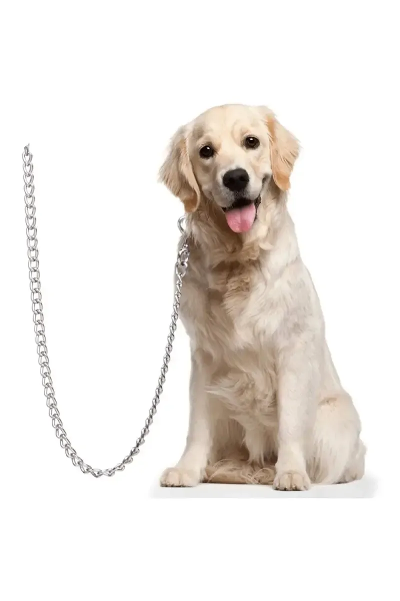 Stainless Steel Dog Leash (Silver)
