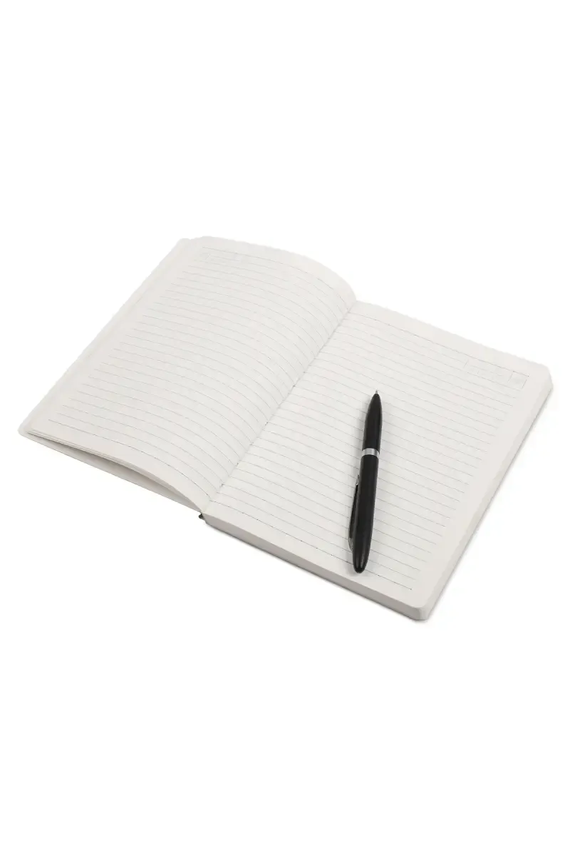 Anupam Hue Office Diary - 192 Pages