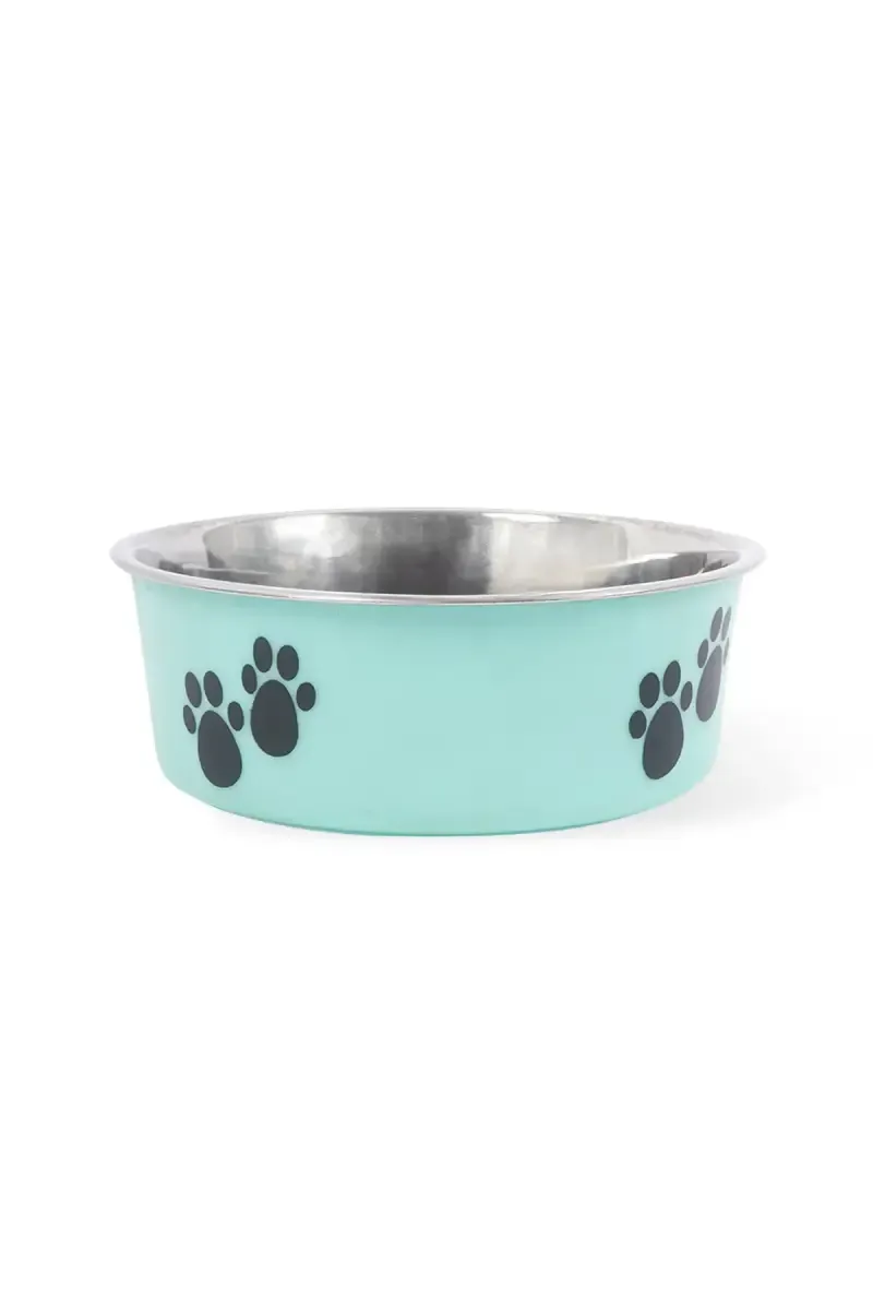 Canine Dog Feeding Fushion Bowl (Green) - 470ml