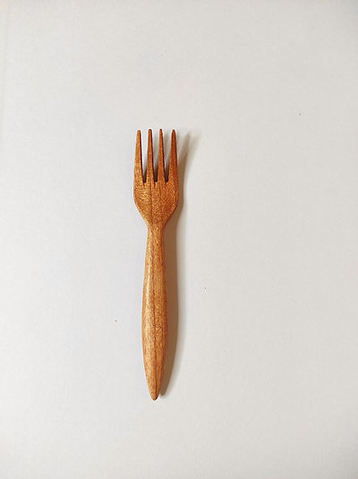 Neem Fork