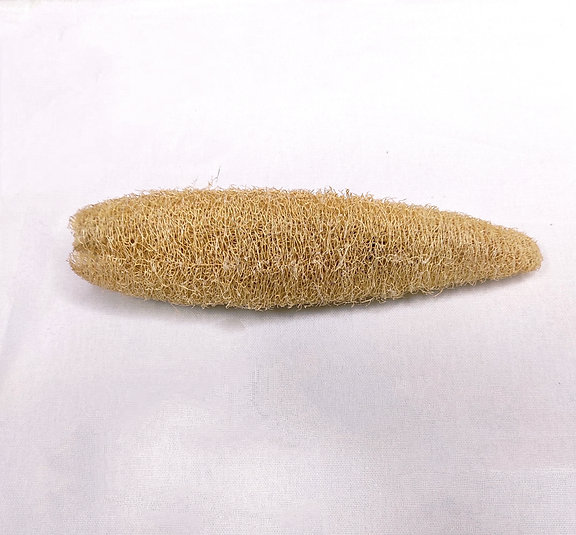 Natural Raw Loofah