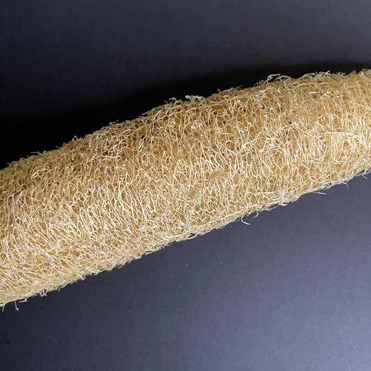 Natural Raw Loofah