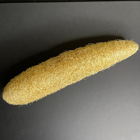 Natural Raw Loofah