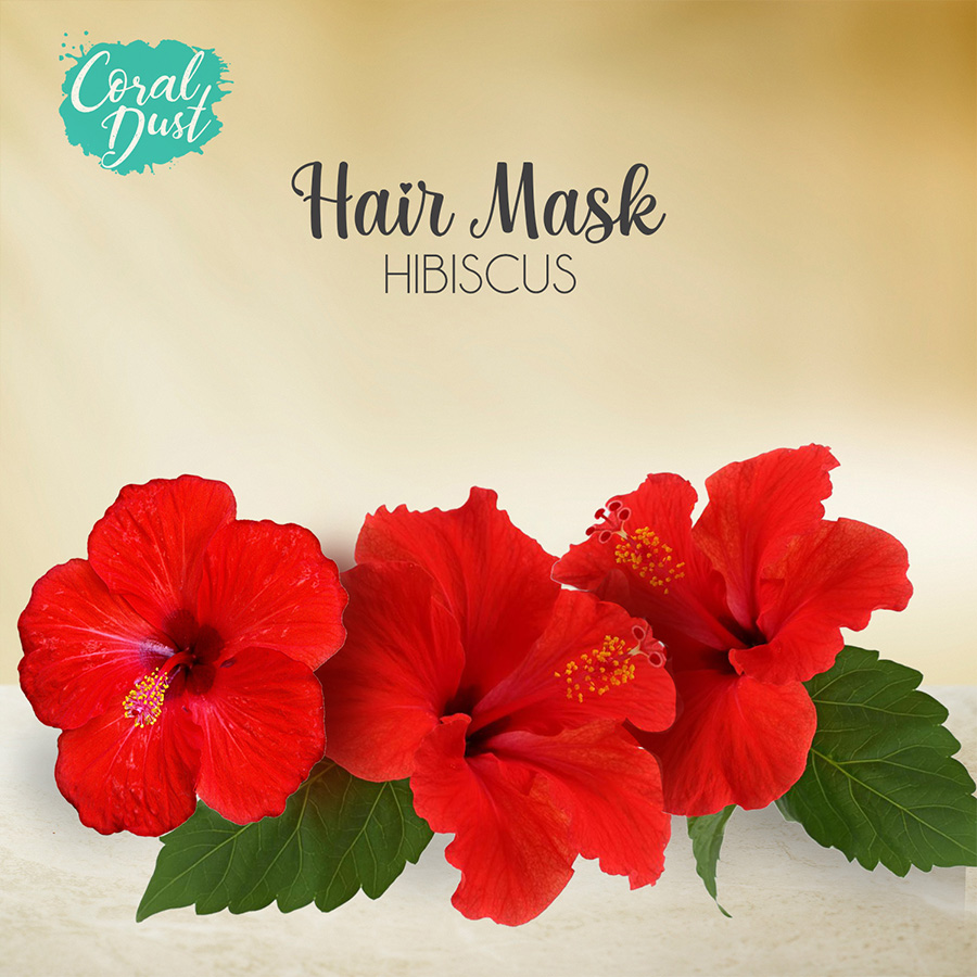 Hibiscus Hair Mask