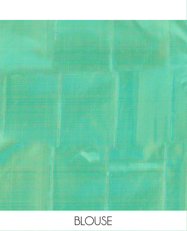 sky Blue Kanchipuram Silk Saree