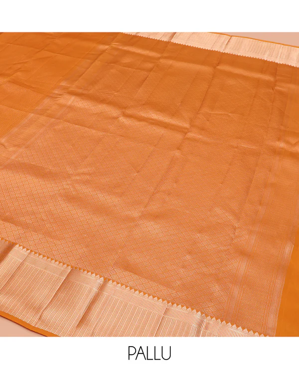 Orange Vasundhara Lite Silk Mix Saree